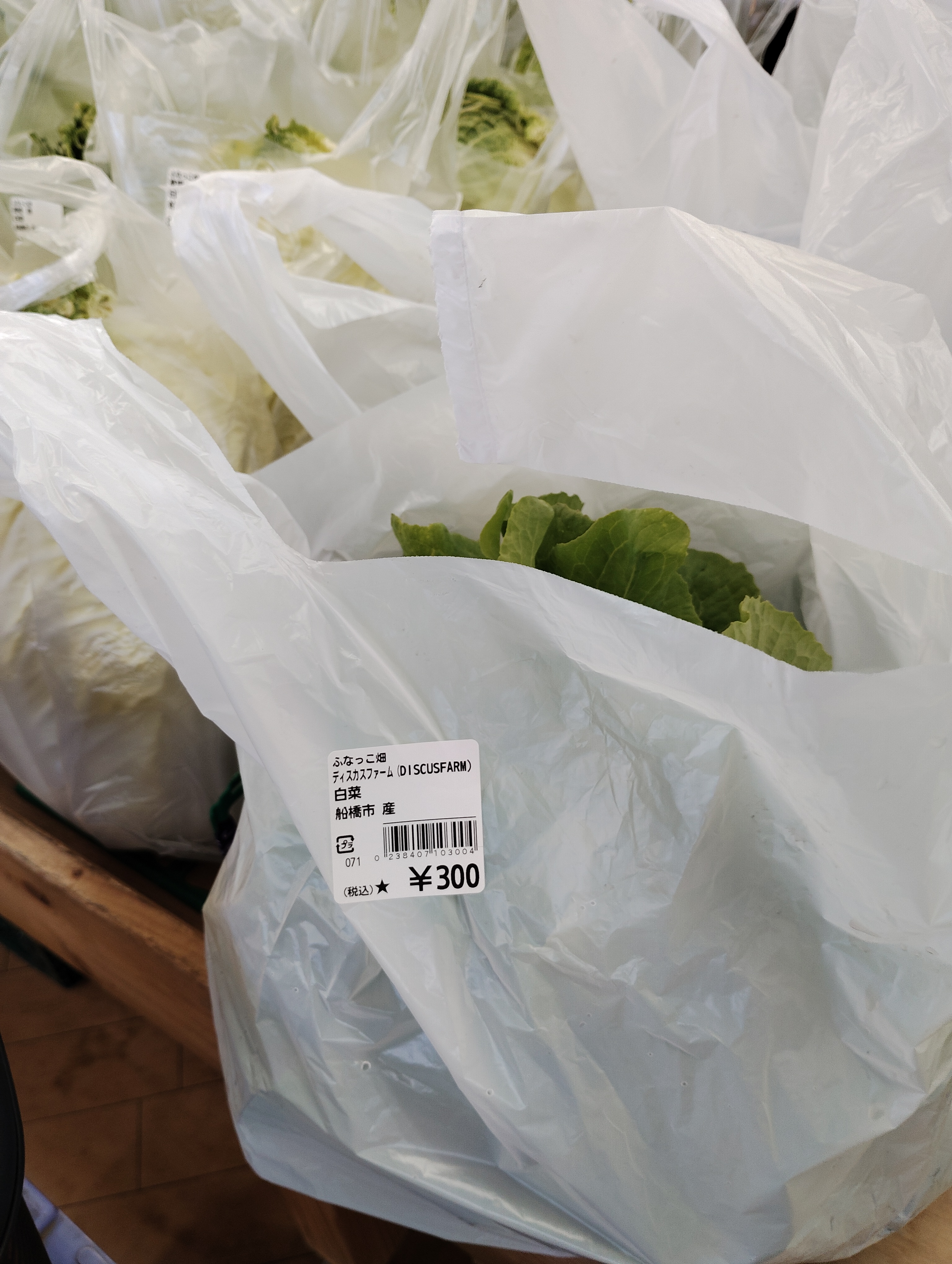 【出荷情報】白菜