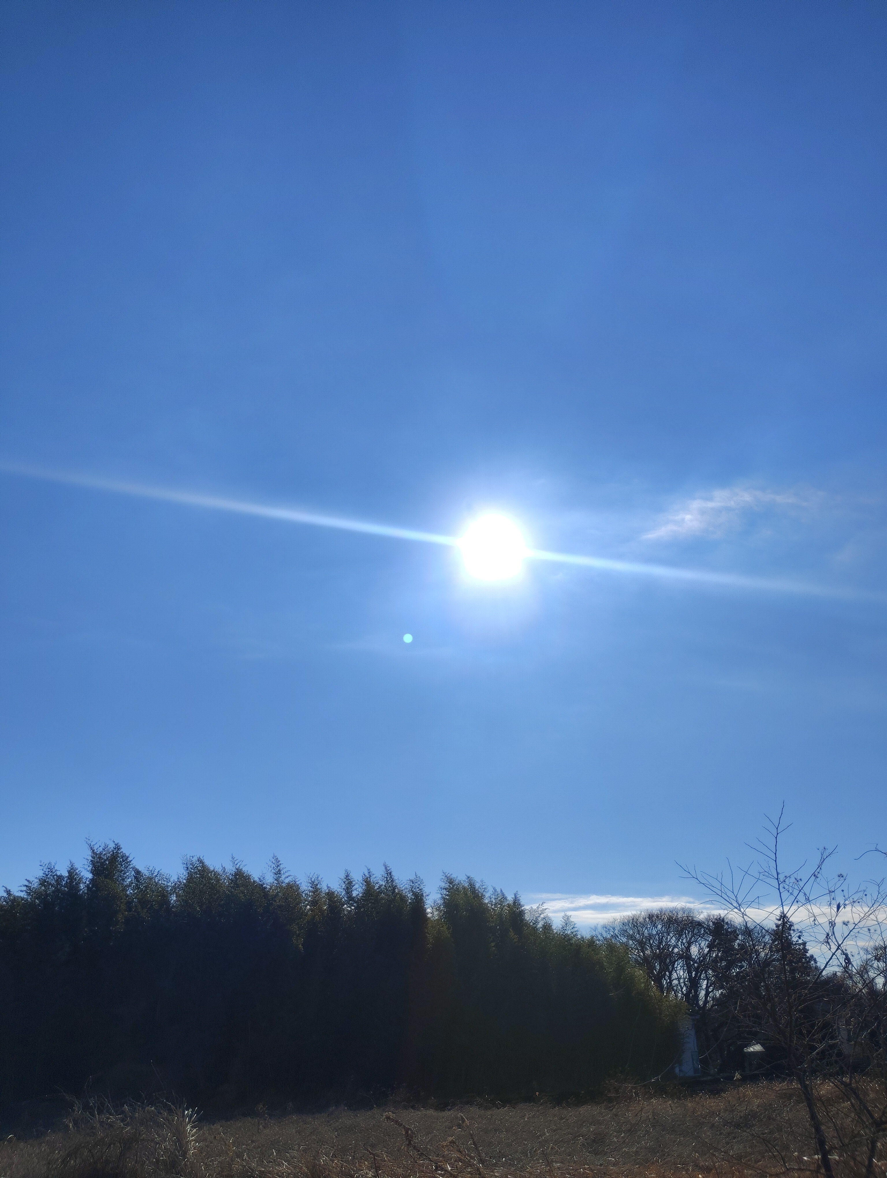 【2026年 始動】