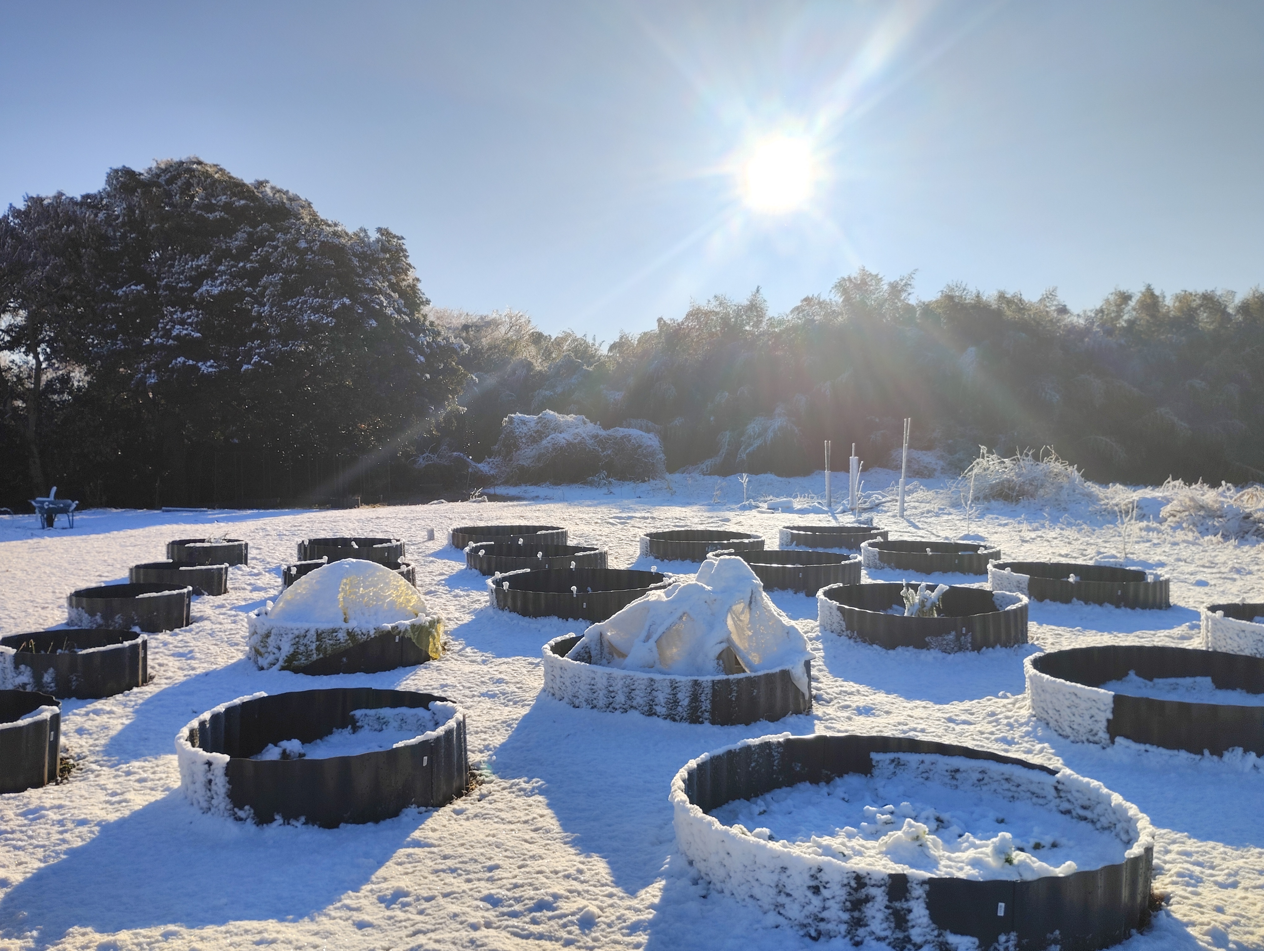 【2026年 初雪】