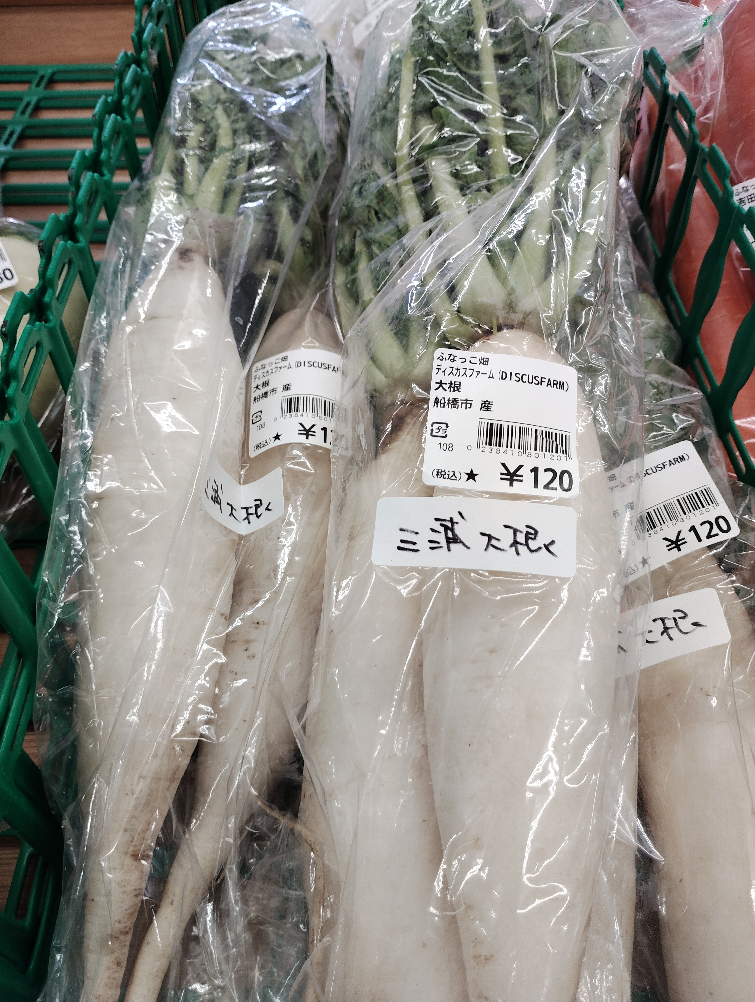 【2026・初出荷】