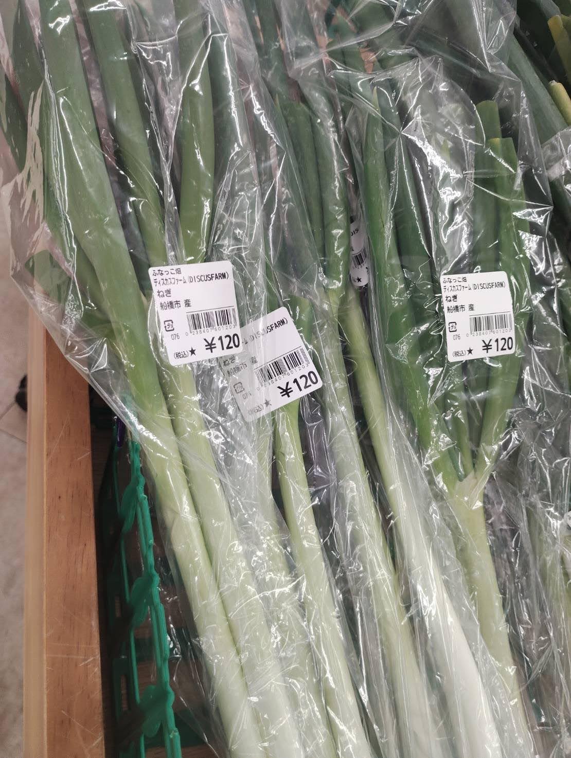 【出荷情報】長ネギ